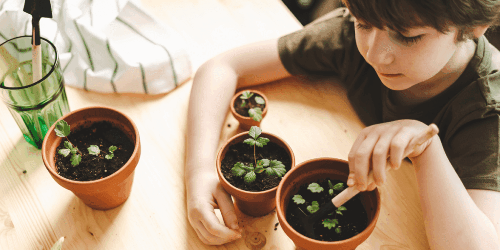 Child tending to small potted plants with a stick on a wooden table.