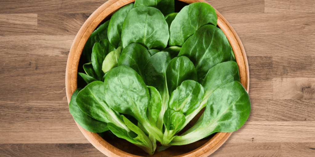 Bowl of garden-fresh, hardy green måche leaves on a wooden surface.
