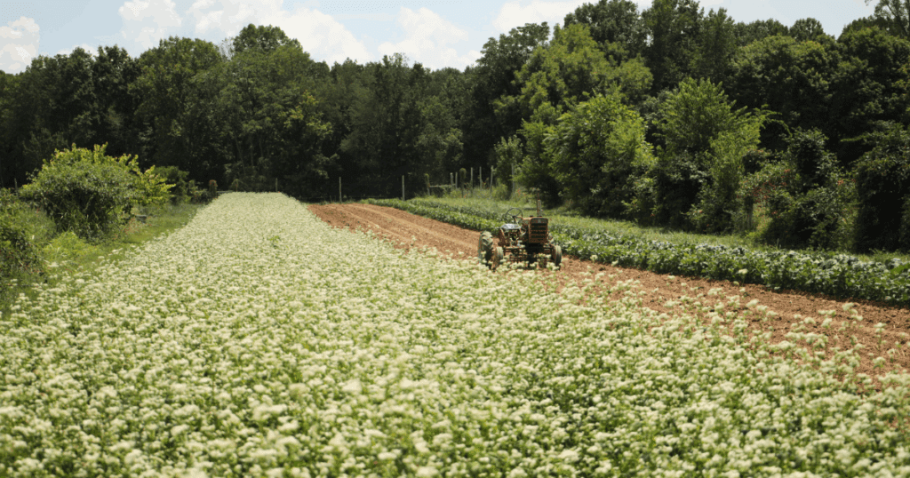 A tractor drives through green fields on community-held land with trees in the background.