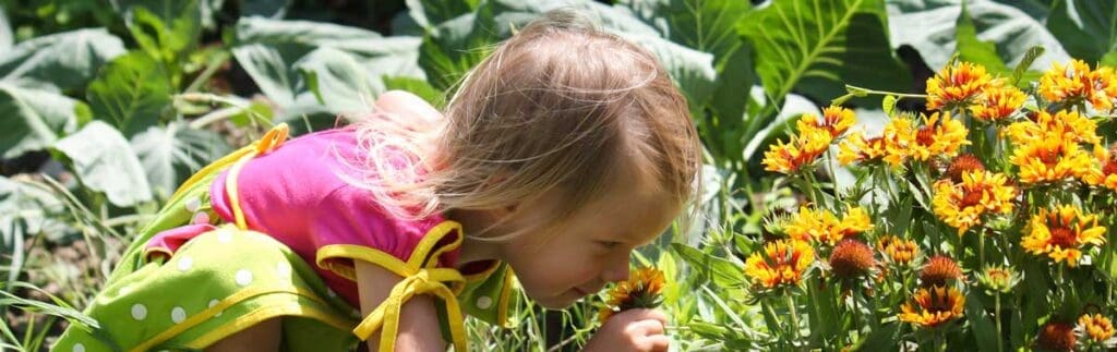 Young child in a school garden smelling yellow and orange flowers on a sunny day.