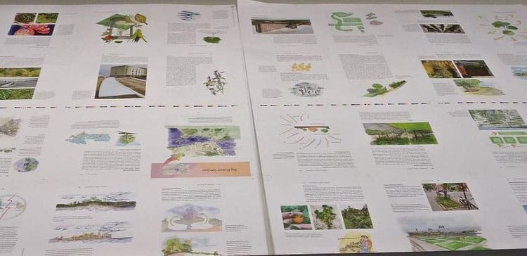 Two large sheets with colorful illustrations and New Society Publishers information displayed.