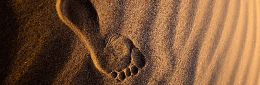 A single footprint in rippled sand, a subtle reminder of our 2.5 tonnes magic number.