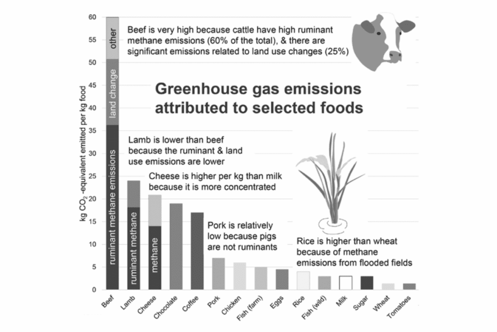 Bar graph showing greenhouse gas emissions per kg—see how lifestyle changes can save the planet.