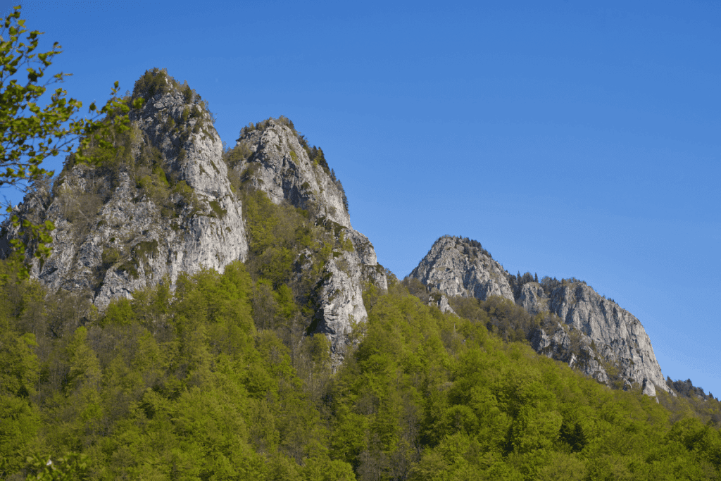 Jagged rocky peaks show Earth's habitability lasting billions of years above green forests below.