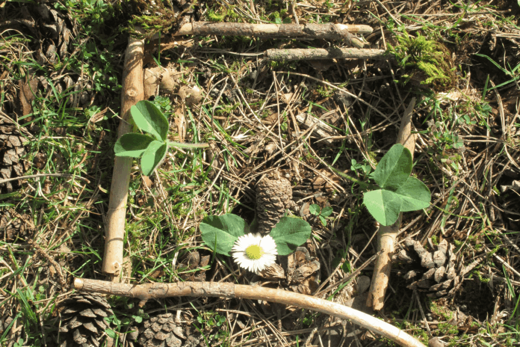 Square frame of sticks with green leaves and a daisy—perfect for outdoor play and nature designs.