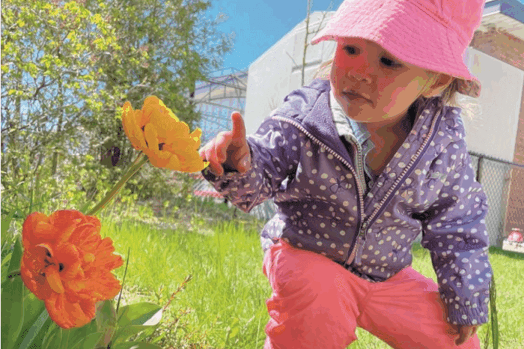 Toddler in pink hat and purple jacket explores orange flowers, embracing timeless wonder.