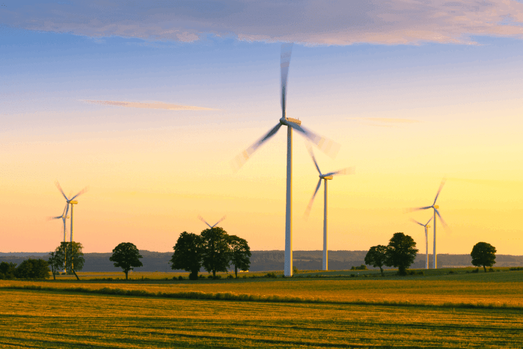 Wind turbines spinning in a field at sunset, generating 100% clean energy among the trees.