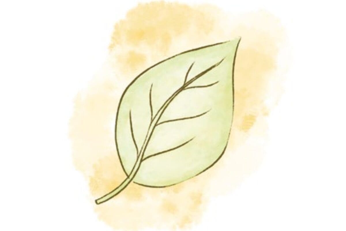 Simple illustration of a green leaf, perfect for plant care or to fix tired plants vibes.