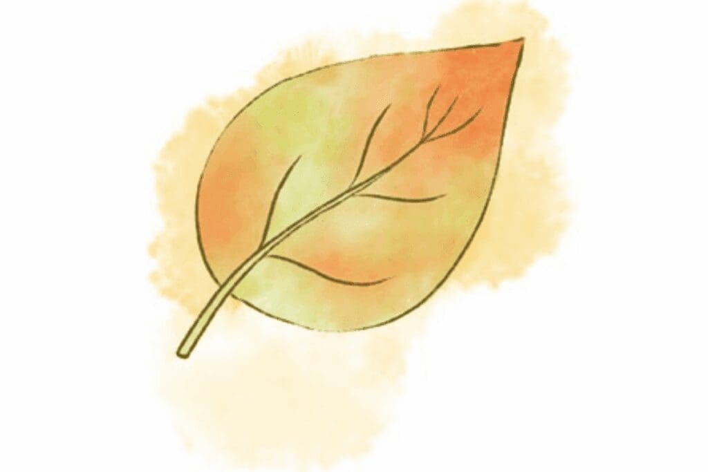 A watercolor illustration of an autumn leaf showing plant health in orange, yellow, and green hues.