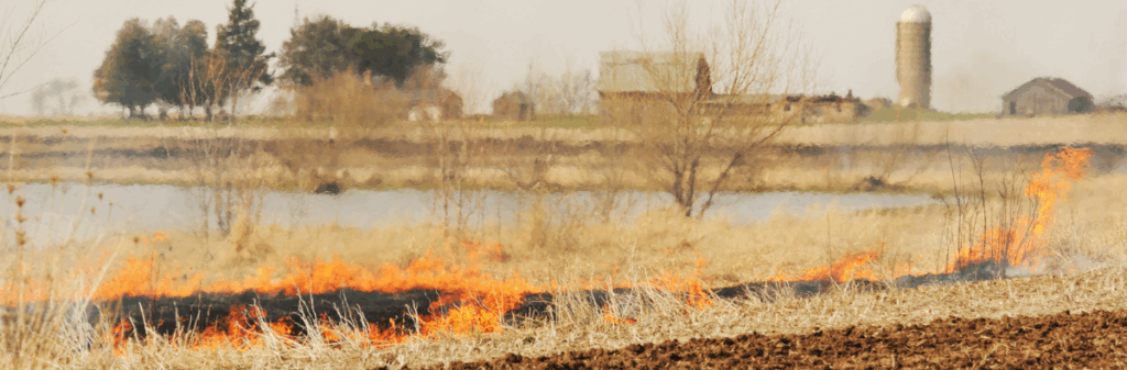 A grass fire, used in cultural burning, burns in a field near a farm with buildings and a silo.