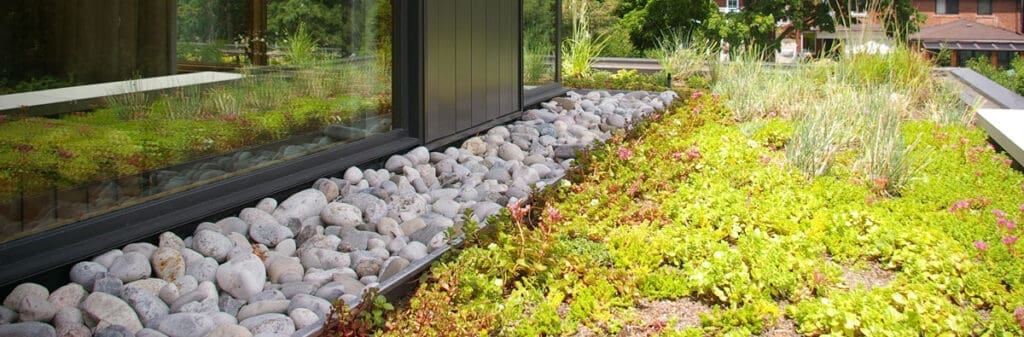 Green roof with various plants, smooth gray rocks, and benefits of green roofs by the window.